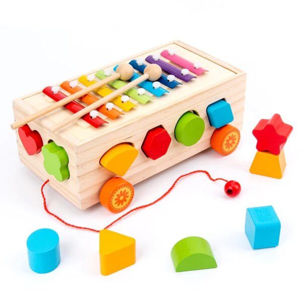 Jouet d'Éveil Multifonctionnel en Bois TooyBing 🚂 - Xylophone, Tri de Formes, Puzzle & Traction 🌈